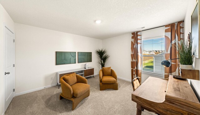 office space with a textured ceiling and carpet floors