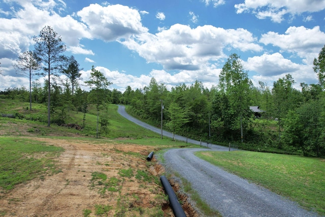 1033 SE Carter Rd, Old Fort, TN 37362 - view of road with a forest view