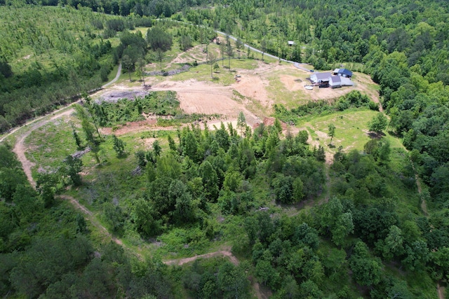 1033 SE Carter Rd, Old Fort, TN 37362 - aerial view with a view of trees