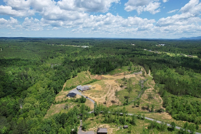 1033 SE Carter Rd, Old Fort, TN 37362 - birds eye view of property with a view of trees