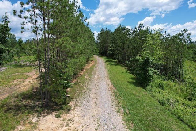 1033 SE Carter Rd, Old Fort, TN 37362 - view of road