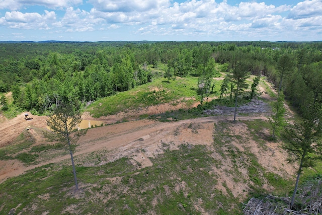 1033 SE Carter Rd, Old Fort, TN 37362 - drone / aerial view with a forest view