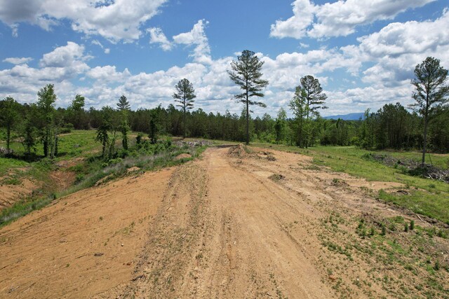 1033 SE Carter Rd, Old Fort, TN 37362 - view of street featuring a rural view