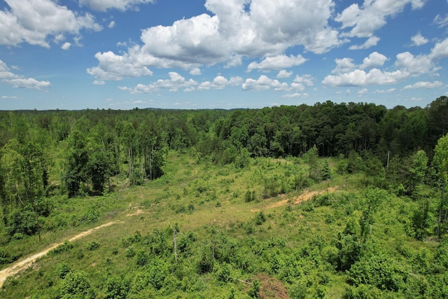 1033 SE Carter Rd, Old Fort, TN 37362 - view of landscape with a wooded view