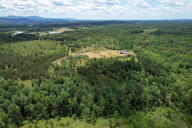 1033 SE Carter Rd, Old Fort, TN 37362 - drone / aerial view with a mountain view and a view of trees