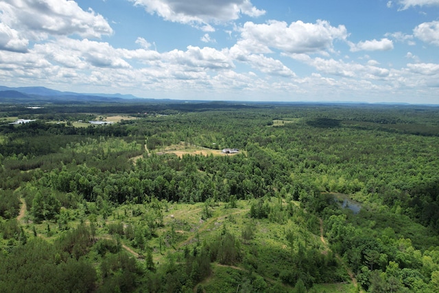 1033 SE Carter Rd, Old Fort, TN 37362 - birds eye view of property with a mountain view and a forest view