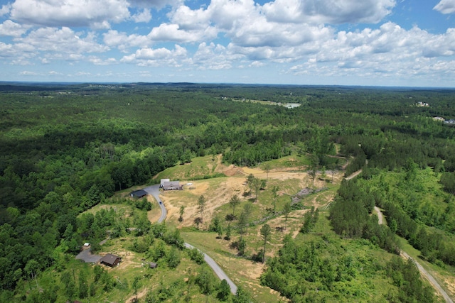 1033 SE Carter Rd, Old Fort, TN 37362 - bird's eye view featuring a forest view