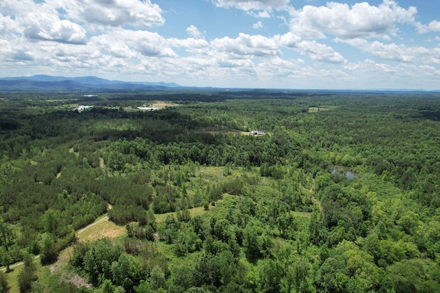 1033 SE Carter Rd, Old Fort, TN 37362 - birds eye view of property with a mountain view and a view of trees