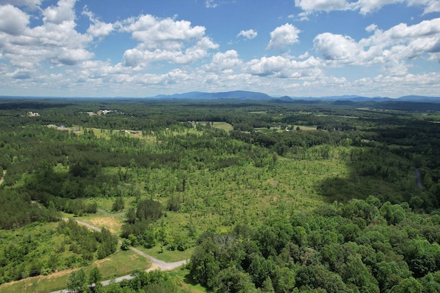 1033 SE Carter Rd, Old Fort, TN 37362 - drone / aerial view with a mountain view and a view of trees