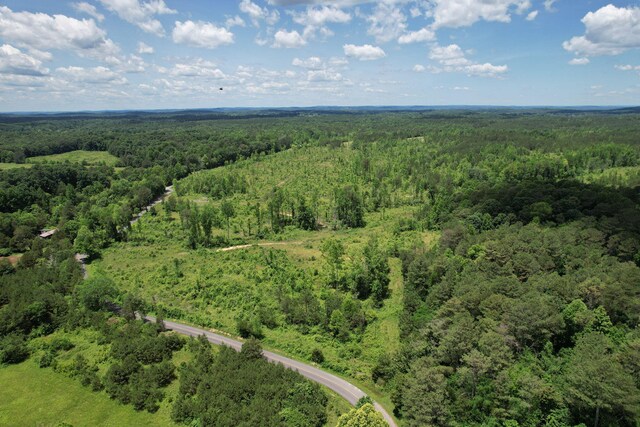 1033 SE Carter Rd, Old Fort, TN 37362 - birds eye view of property with a forest view