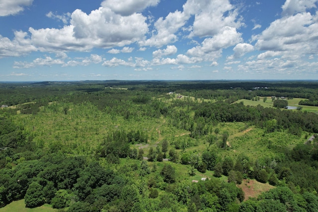 1033 SE Carter Rd, Old Fort, TN 37362 - bird's eye view with a view of trees