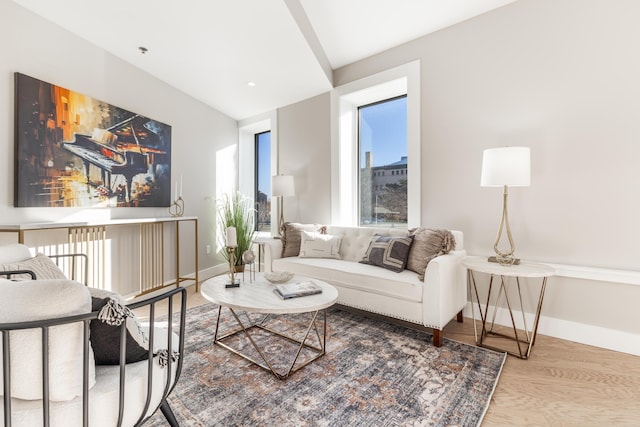 living room with hardwood / wood-style flooring