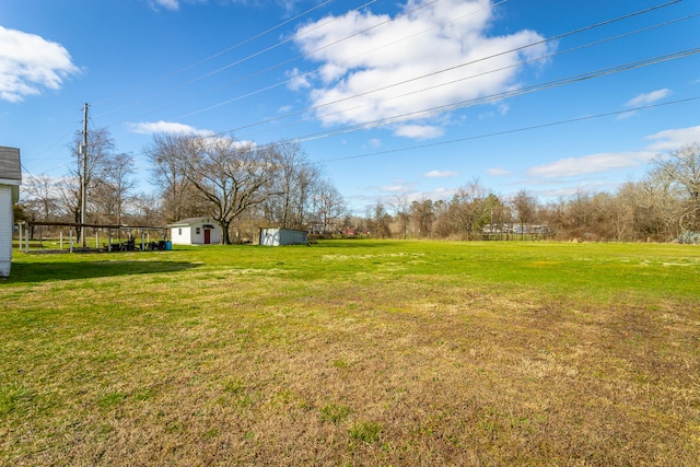 view of yard featuring a shed