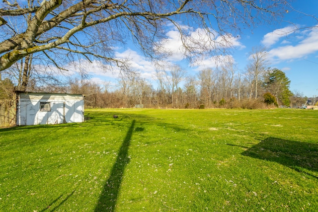 view of yard with a storage unit