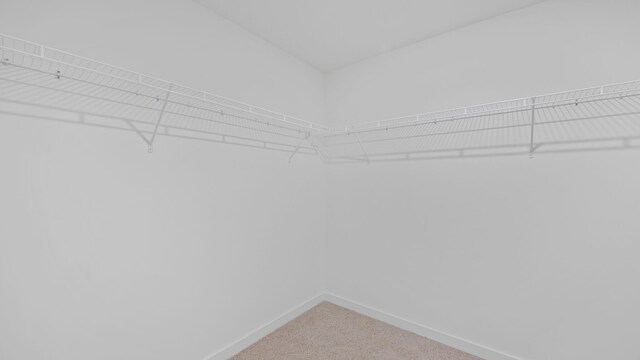 spacious closet with carpet flooring