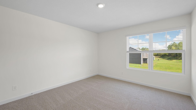 unfurnished room with carpet