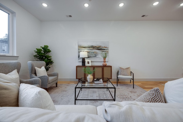 living room featuring light hardwood / wood-style flooring