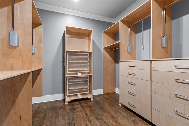 spacious closet with dark hardwood / wood-style flooring