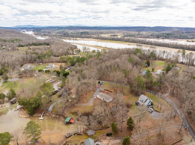 birds eye view of property with a water and mountain view