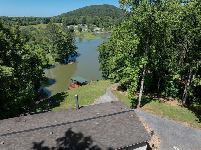 482 Hiwassee Dr, Decatur, TN 37322 - photo 46