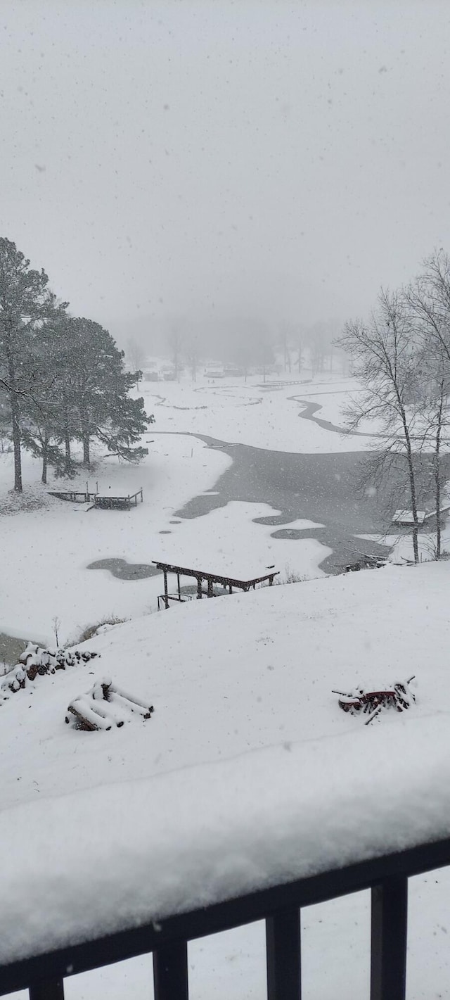 view of yard layered in snow