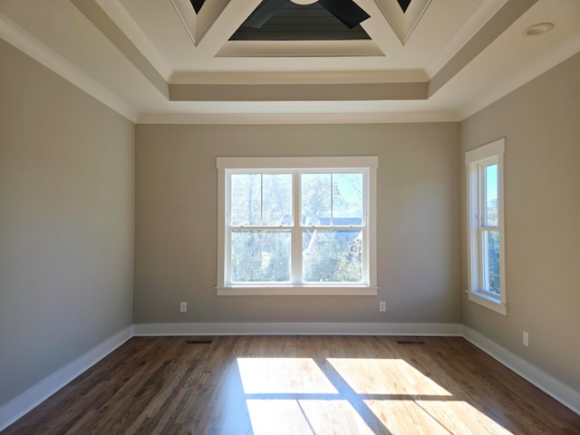 spare room featuring dark wood-type flooring, a raised ceiling, and crown molding