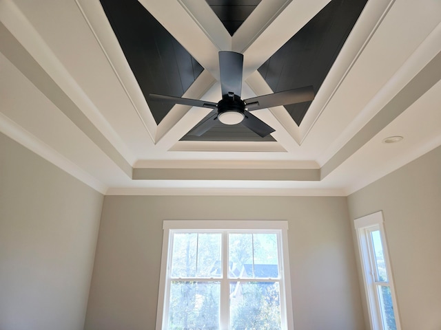 details with a raised ceiling, crown molding, and ceiling fan