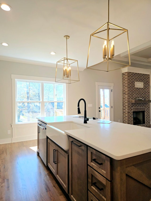 kitchen featuring stainless steel dishwasher, decorative light fixtures, a healthy amount of sunlight, and dark wood-type flooring