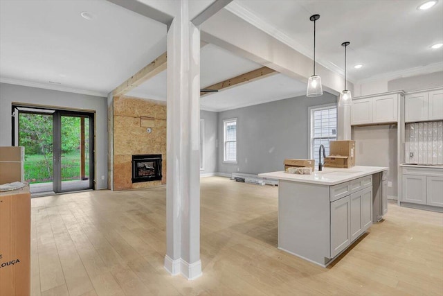 kitchen with light hardwood / wood-style floors, plenty of natural light, a kitchen island with sink, and sink