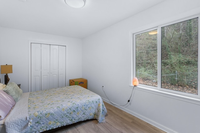 bedroom featuring hardwood / wood-style floors and a closet