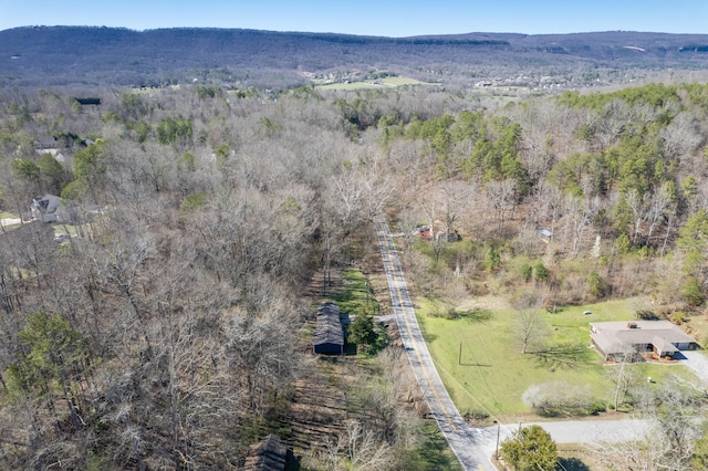 birds eye view of property with a mountain view