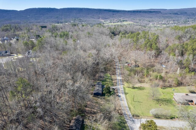 bird's eye view featuring a mountain view