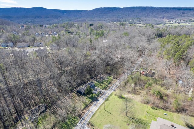 drone / aerial view with a mountain view