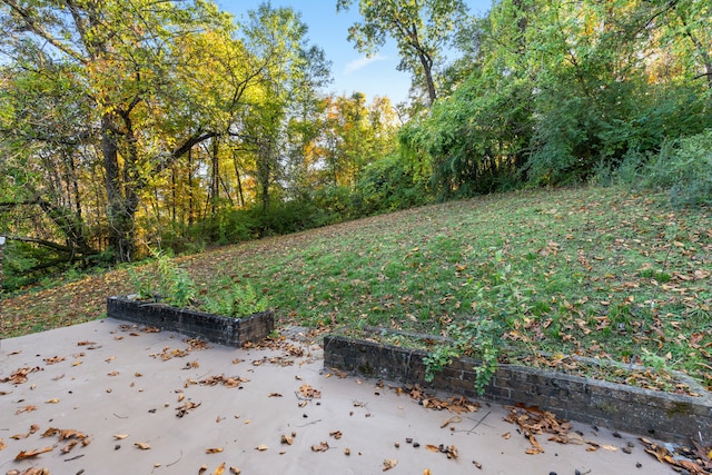 view of yard with a patio