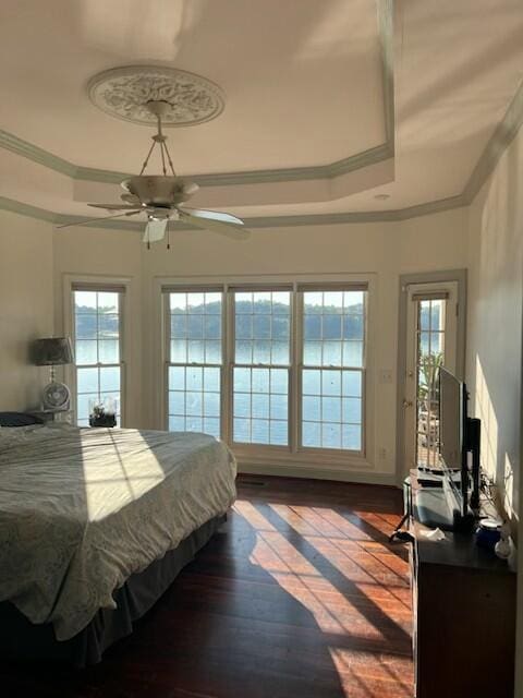 bedroom featuring ceiling fan, dark hardwood / wood-style flooring, and a tray ceiling