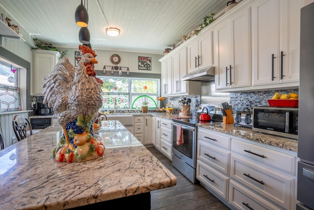 kitchen featuring white cabinetry, tasteful backsplash, stainless steel appliances, dark wood-type flooring, and under cabinet range hood