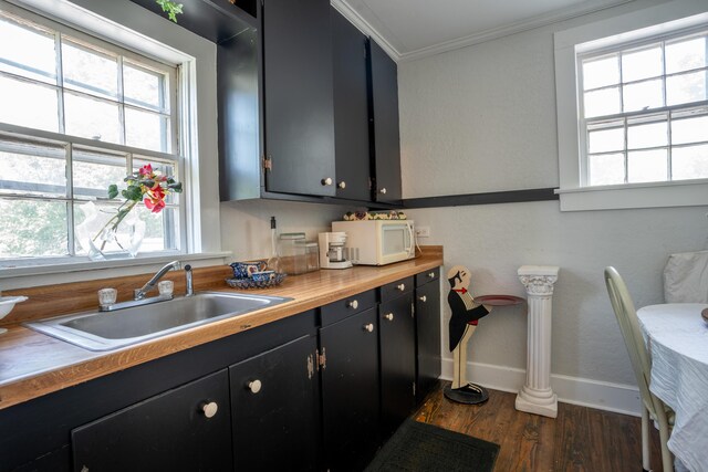 kitchen with dark wood-type flooring, sink, butcher block counters, and a healthy amount of sunlight