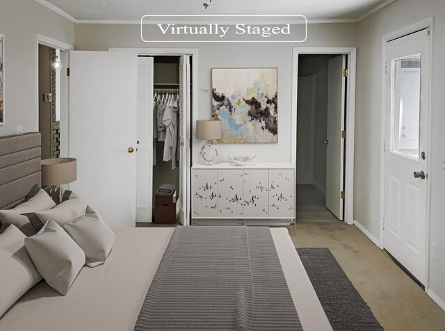 carpeted bedroom featuring ornamental molding and a closet