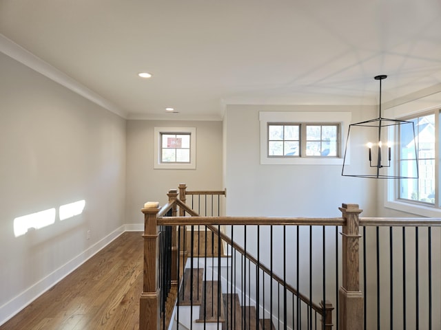 hallway with hardwood / wood-style flooring, plenty of natural light, ornamental molding, and a notable chandelier