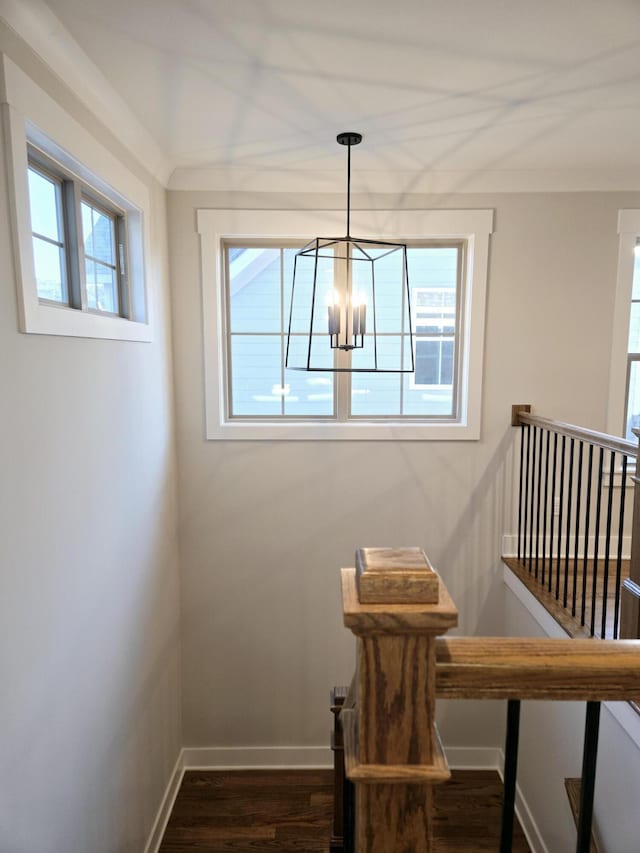 dining room featuring dark hardwood / wood-style flooring and a notable chandelier