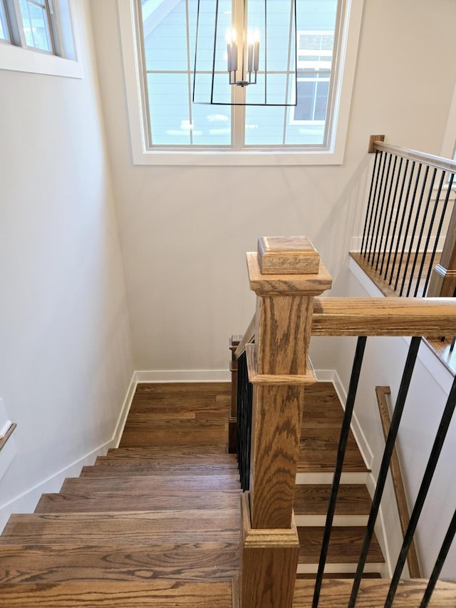 staircase with wood-type flooring and a notable chandelier