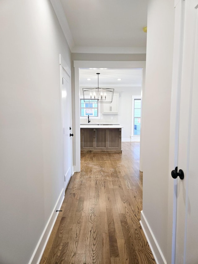 hallway with a chandelier, light wood-type flooring, and crown molding