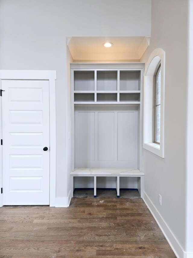 mudroom featuring hardwood / wood-style flooring