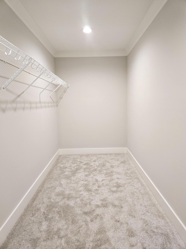 walk in closet featuring carpet