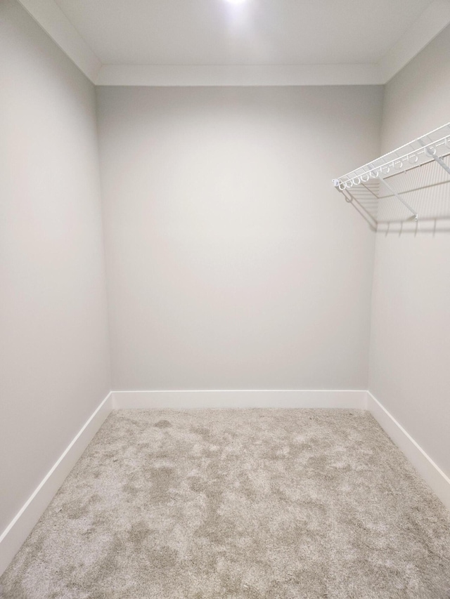 spacious closet with carpet flooring