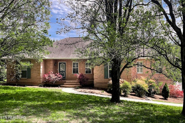 ranch-style house with a front yard