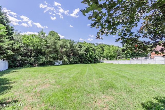 1244 River Oaks Dr, Kingston, TN 37763 - photo 35