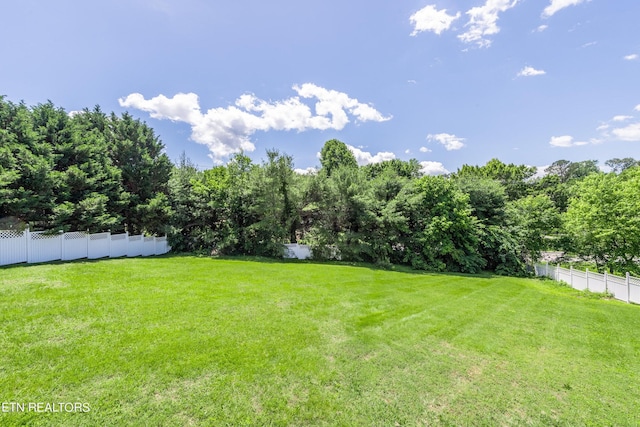 1244 River Oaks Dr, Kingston, TN 37763 - photo 33