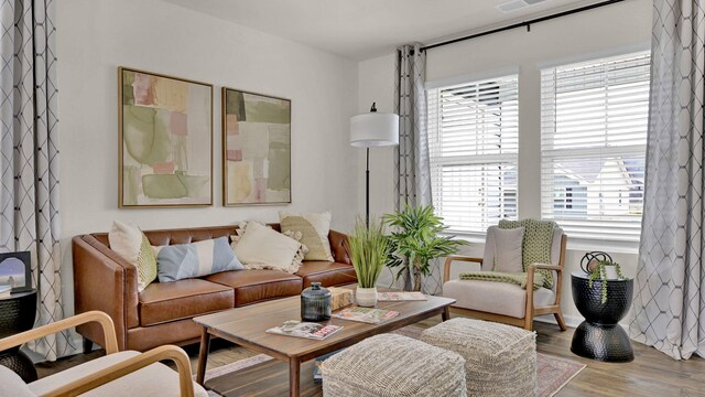 living room with wood-type flooring