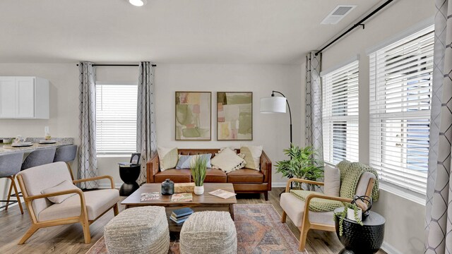 living room with hardwood / wood-style floors